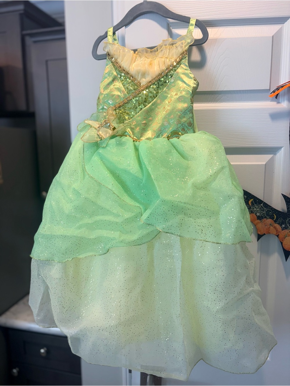 Disney Princess Costume Dress for Kids